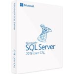 Microsoft SQL Server 2019 Licence CAL standard